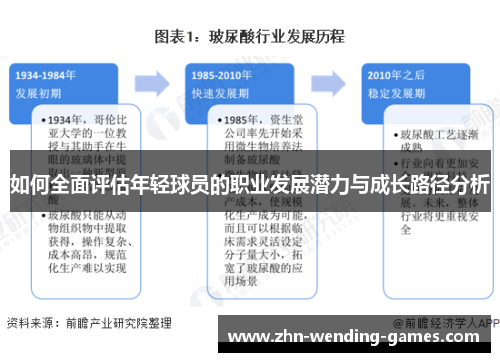 如何全面评估年轻球员的职业发展潜力与成长路径分析