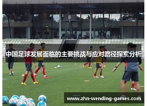 中国足球发展面临的主要挑战与应对路径探索分析