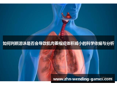 如何判断游泳是否会导致肌肉萎缩或体积减小的科学依据与分析