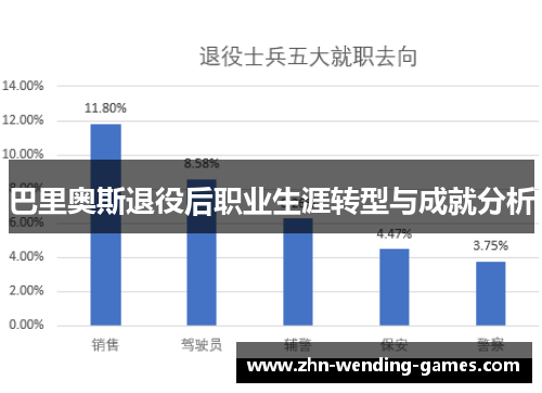 巴里奥斯退役后职业生涯转型与成就分析