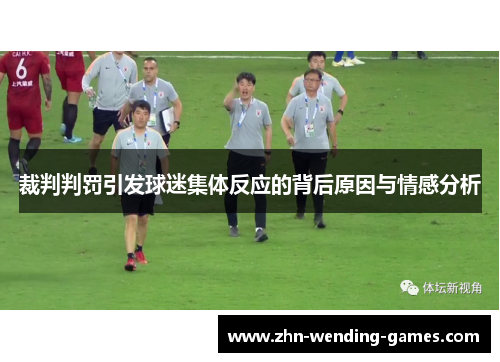 裁判判罚引发球迷集体反应的背后原因与情感分析
