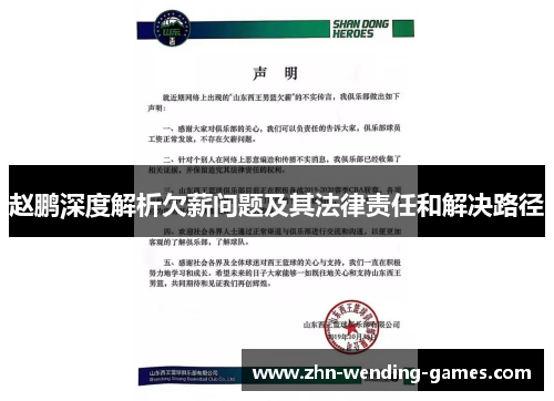 赵鹏深度解析欠薪问题及其法律责任和解决路径