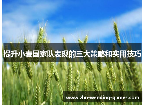 提升小麦国家队表现的三大策略和实用技巧 提升小麦国家队表现的三大策略和实用技巧