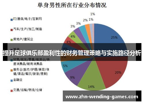 提升足球俱乐部盈利性的财务管理策略与实施路径分析 提升足球俱乐部盈利性的财务管理策略与实施路径分析