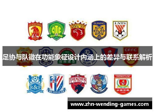 足协与队徽在功能象征设计内涵上的差异与联系解析