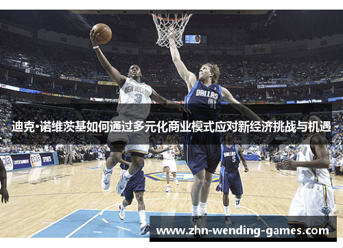 迪克·诺维茨基如何通过多元化商业模式应对新经济挑战与机遇