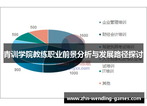 青训学院教练职业前景分析与发展路径探讨
